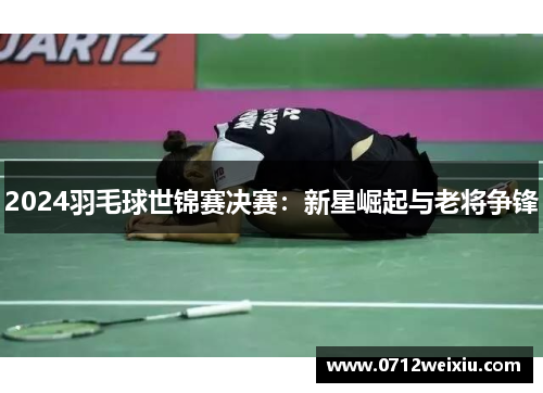 2024羽毛球世锦赛决赛：新星崛起与老将争锋