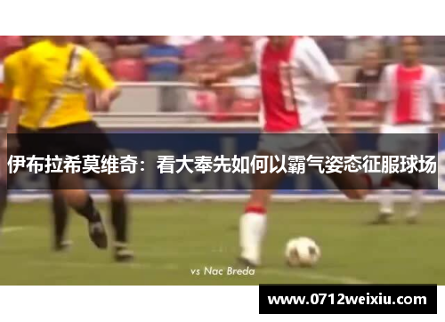 伊布拉希莫维奇：看大奉先如何以霸气姿态征服球场