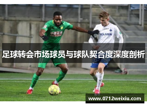 足球转会市场球员与球队契合度深度剖析